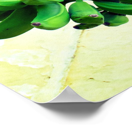 Green Bananas Poster (Hoek)