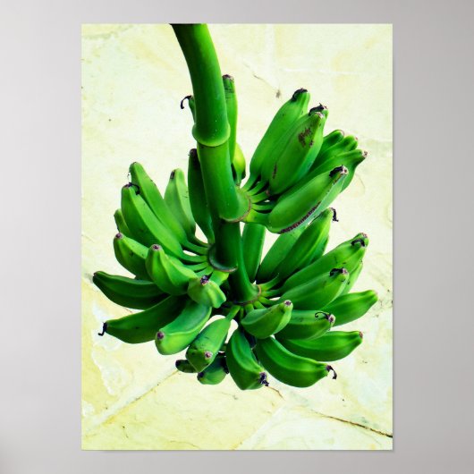 Green Bananas Poster (Voorkant)