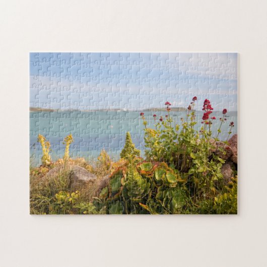 Green Bay, Bryher Legpuzzel (Horizontaal)