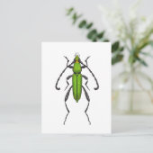 Green beetle briefkaart (Staand voorkant)