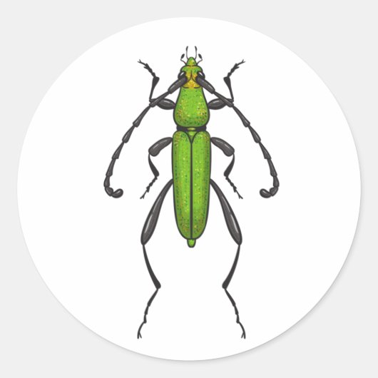 Green beetle ronde sticker (Voorkant)