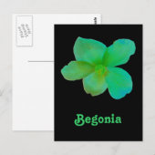 Green Begonia Briefkaart (Voorkant / Achterkant)