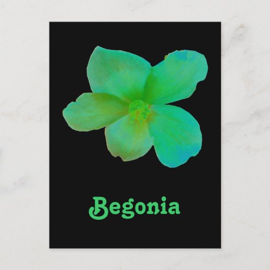 Green Begonia Briefkaart (Voorkant)