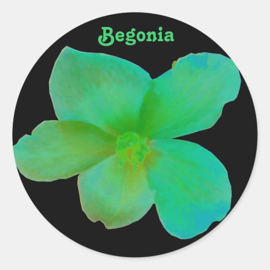 Green Begonia  Sticker (Voorkant)