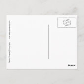 "Green Bench" Een digitaal gewijzigde en bewerkte Briefkaart (Achterkant)