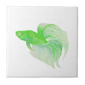 Green Betta Fish-Waterverf Tegeltje (Voorkant)