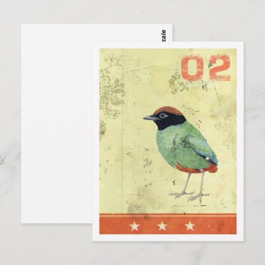 "Green Bird"-briefkaart Briefkaart (Voorkant / Achterkant)