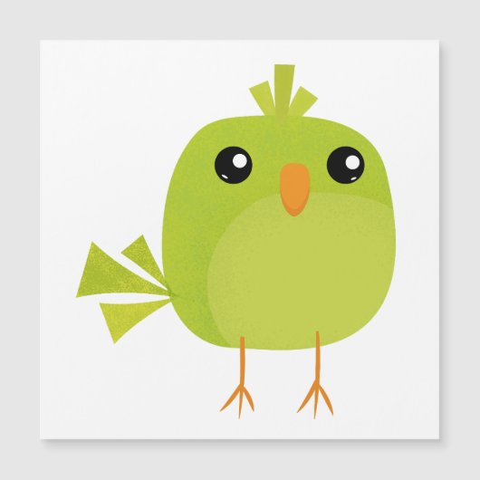 Green Bird Cartoon (Voorkant)