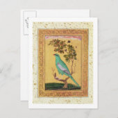 Green Bird, Mughal (gouache op papier) Briefkaart (Voorkant / Achterkant)