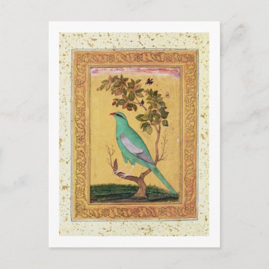 Green Bird, Mughal (gouache op papier) Briefkaart (Voorkant)