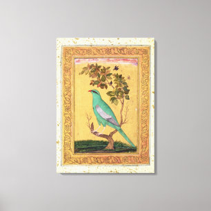 Green Bird, Mughal (gouache op papier) Canvas Afdruk