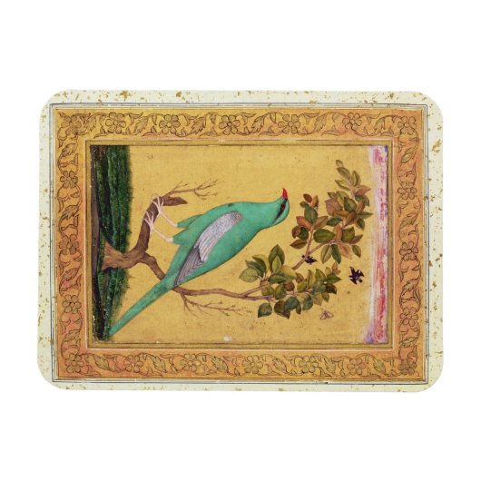 Green Bird, Mughal (gouache op papier) Magneet (Horizontaal)
