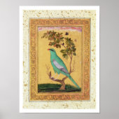 Green Bird, Mughal (gouache op papier) Poster (Voorkant)