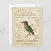 Green Bird on Branch Briefkaart (Voorkant / Achterkant)