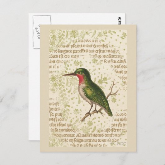 Green Bird on Branch Briefkaart (Voorkant / Achterkant)
