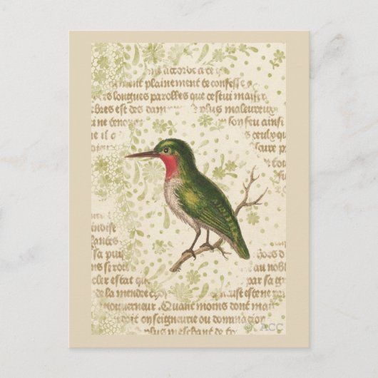 Green Bird on Branch Briefkaart (Voorkant)
