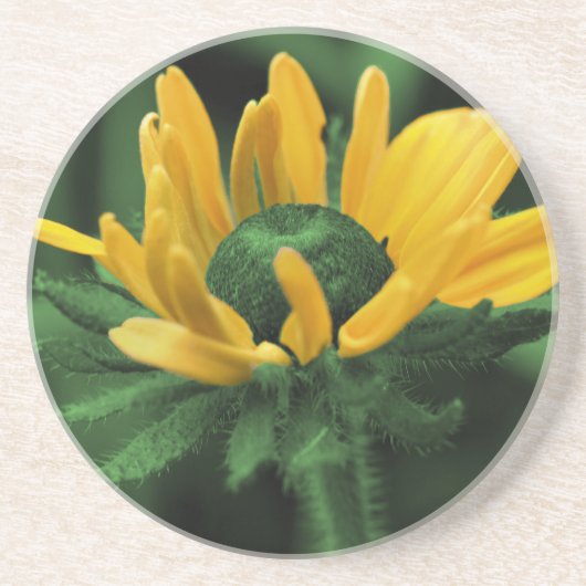 Green Black Eyed Susan Floral Onderzetter (Voorkant)