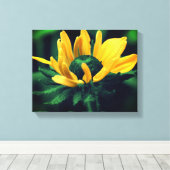 Green Black Eyed Susan Flower Canvas Afdruk (Insitu (Houten vloer))