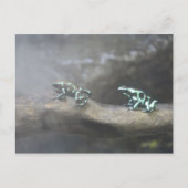 Green & Black Poison Dart Frog # 6 Briefkaart (Voorkant)