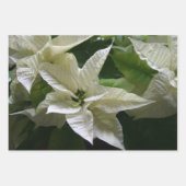 Green Black Polka Dot Poinsettia Merry Kerstry Inpakpapier Vel (Voorkant 2)