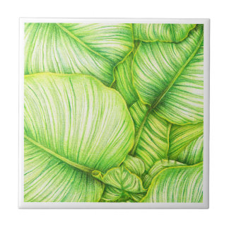 Green Botanical Ceramic Tile Tegeltje