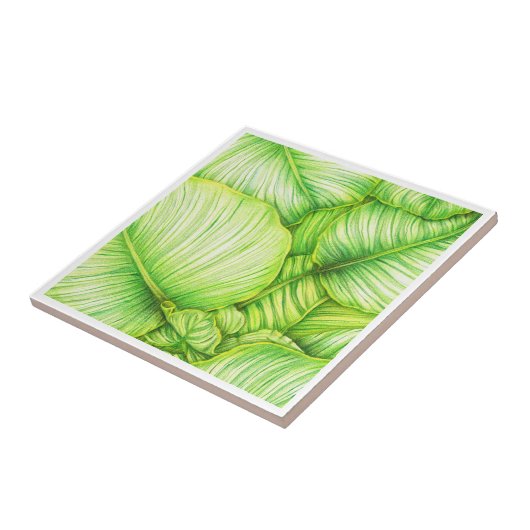 Green Botanical Ceramic Tile Tegeltje (Zijkant)