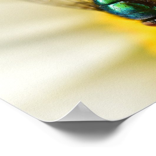 Green Bottle Fly Poster (Hoek)