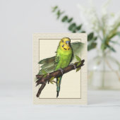 Green Budgie Art Briefkaart (Staand voorkant)