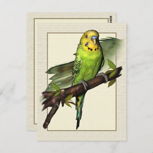 Green Budgie Art Briefkaart (Voorkant / Achterkant)