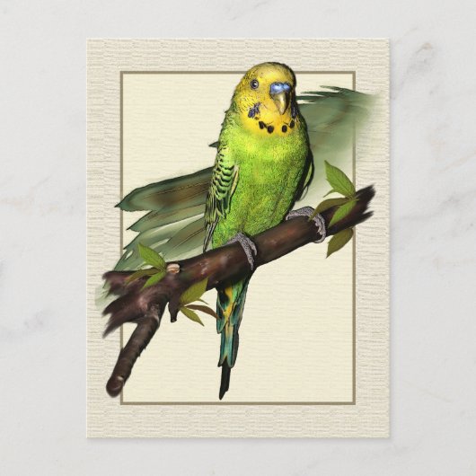 Green Budgie Art Briefkaart (Voorkant)