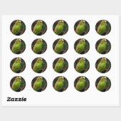 Green Budgie Ronde Sticker (Vel)