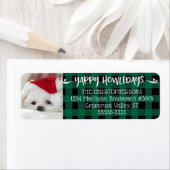 Green Buffalo Check YAPPY HOWLIDAYS Dog Photo Etiket (Insitu)