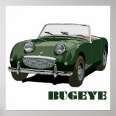 Green Bugeye Poster (Voorkant)