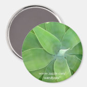 Green Burst Magneet (Voorkant / Achterkant)