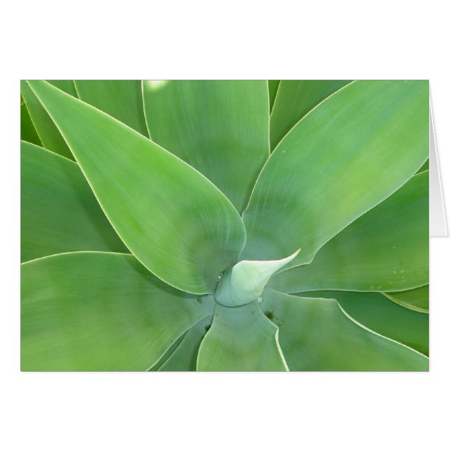 Green Burst v2 (Voorkant Horizontaal)