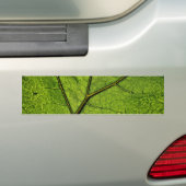 Green Butterbur Leaf Bumpersticker (Op auto)