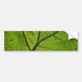 Green Butterbur Leaf Bumpersticker