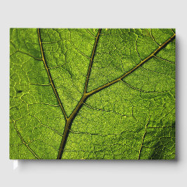Green Butterbur Leaf Gastenboek