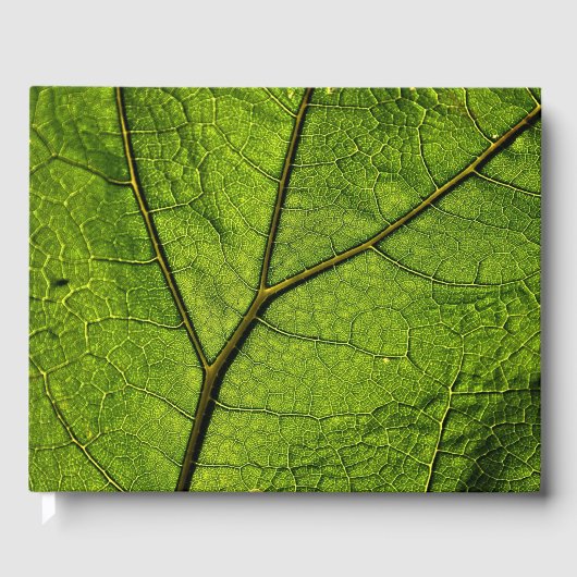 Green Butterbur Leaf Gastenboek (Voorkant)