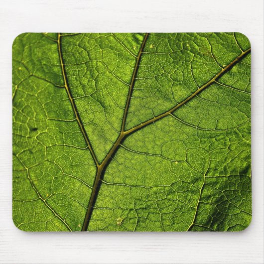 Green Butterbur Leaf Muismat (Voorkant)