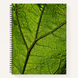 Green Butterbur Leaf Notitieboek