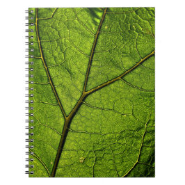 Green Butterbur Leaf Notitieboek