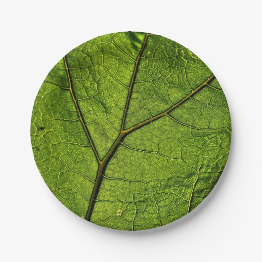 Green Butterbur Leaf Papieren Bordje (Voorkant)