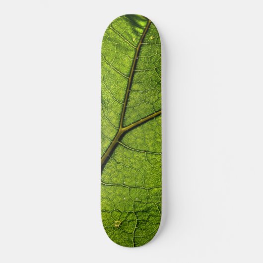 Green Butterbur Leaf Persoonlijk Skateboard (Voorkant)
