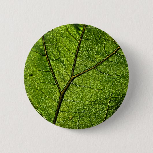 Green Butterbur Leaf Ronde Button 5,7 Cm (Voorkant)