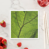 Green Butterbur Leaf Servet (Insitu)