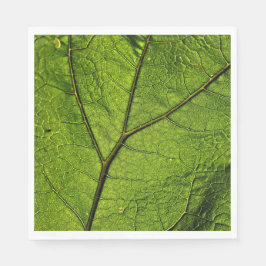 Green Butterbur Leaf Servet