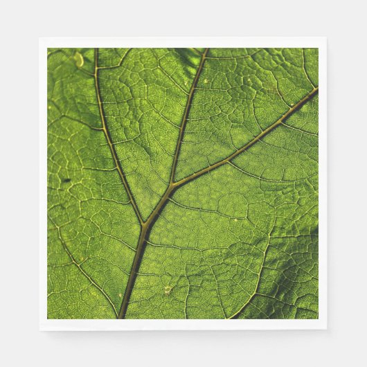 Green Butterbur Leaf Servet (Voorkant)