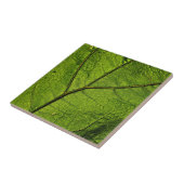Green Butterbur Leaf Tegeltje (Zijkant)