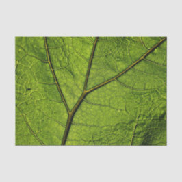 Green Butterbur Leaf Tissuepapier